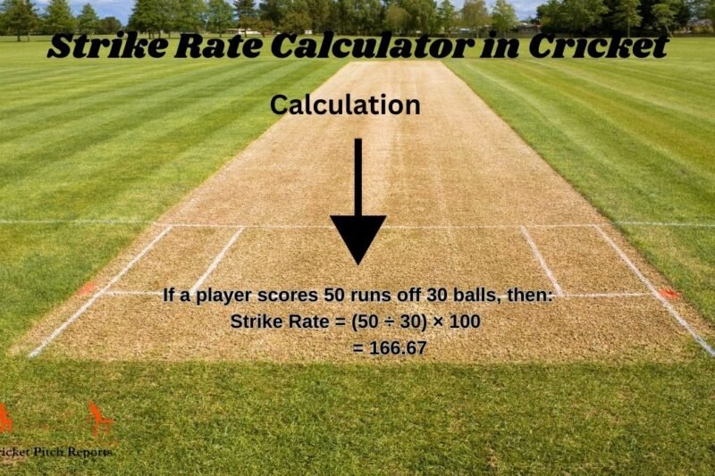 Strike Rate Calculator in Cricket: Complete Guide for Players & Fans (2025)