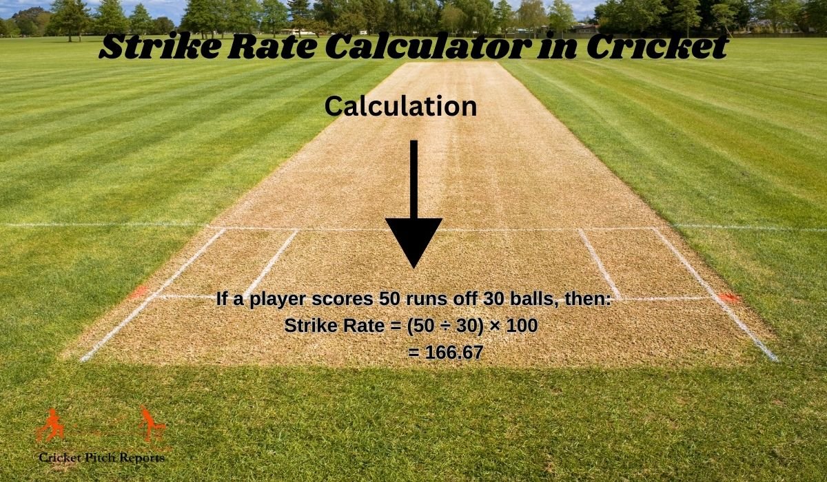 Strike Rate Calculator in Cricket