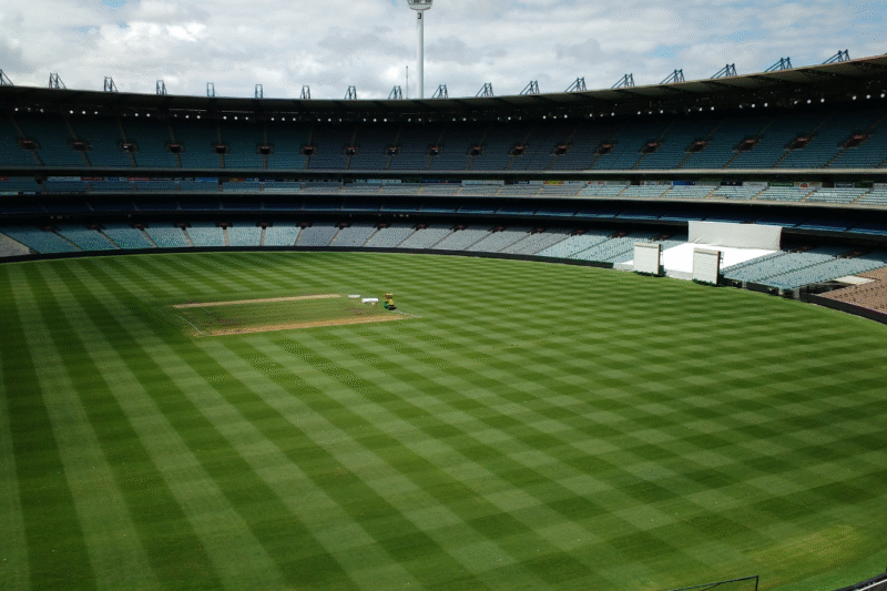 Pitch Reports And Betting Margins