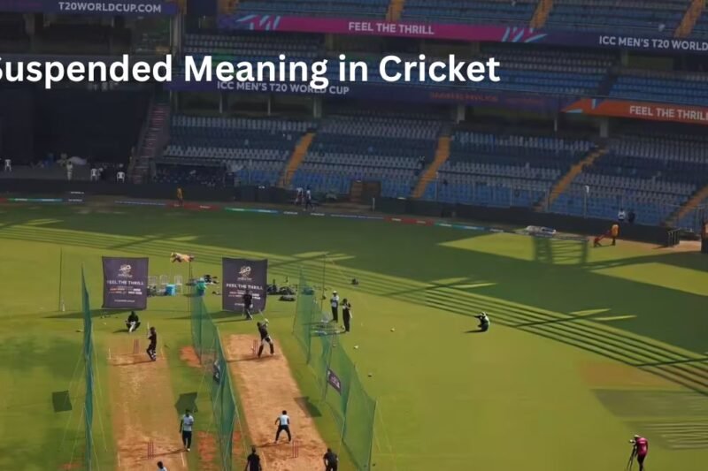 Suspended Meaning in Cricket
