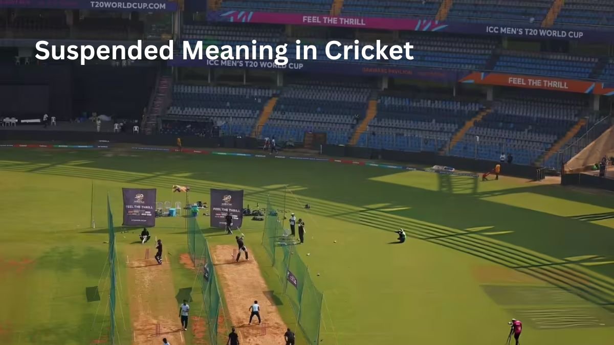 Suspended Meaning in Cricket